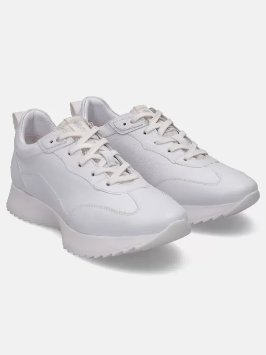 Sophie White Sneakers | BAGATT Best Sale